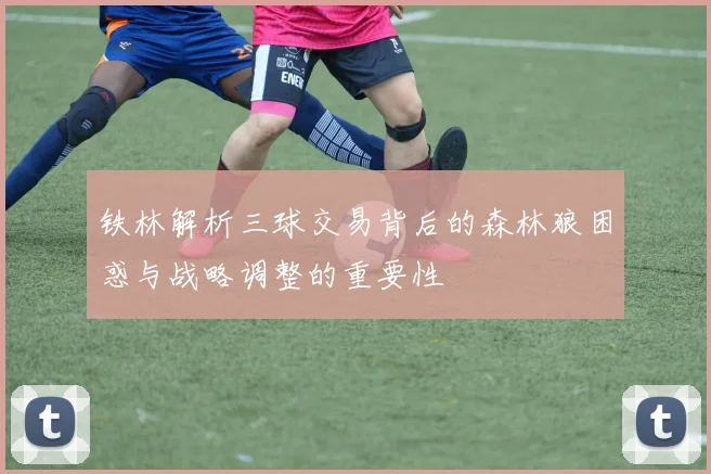 铁林解析三球交易背后的森林狼困惑与战略调整的重要性